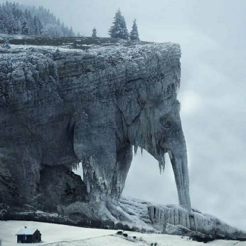  گلوم واسه خودم یه بوم واسه خدا با رنگای قشنگ نه رنگای گلا